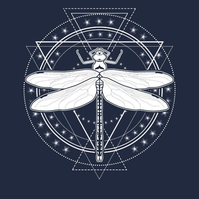 Libellule Occulte Libellules