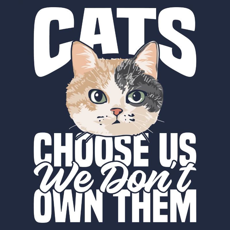 Cats choose us, we don't own them