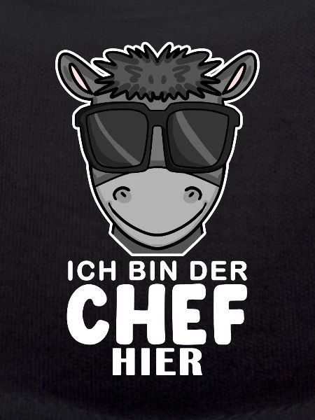 Cool Esel Chef Spruch
