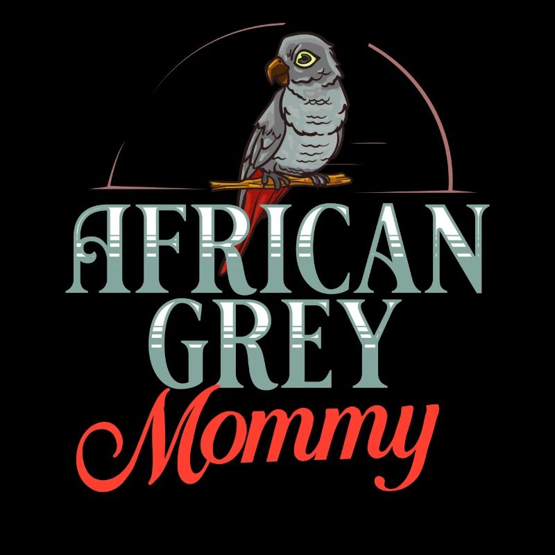 Perroquet gris d’Afrique oiseau perroquet Afrique