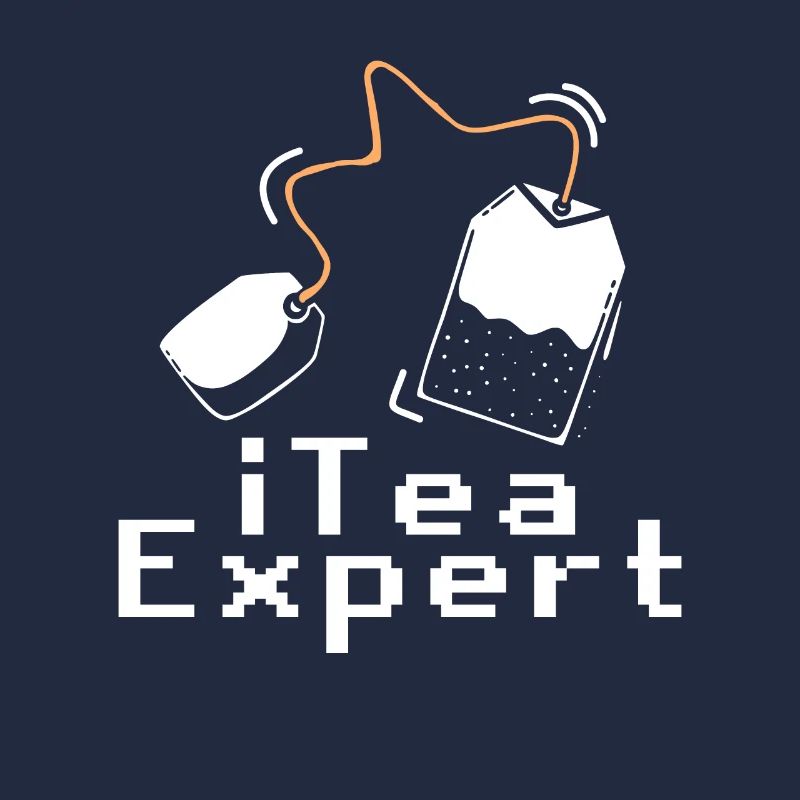 Itea Expert Programmeur de logiciels informatiques