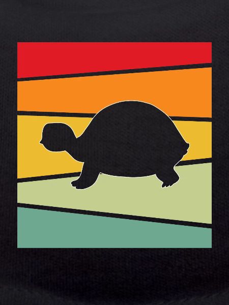 Turtle Retro