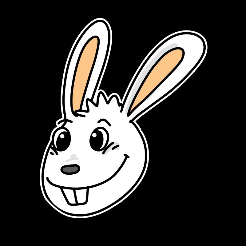 Rabbit Head Animal Head