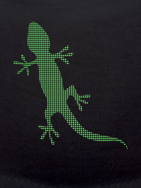 Lizard