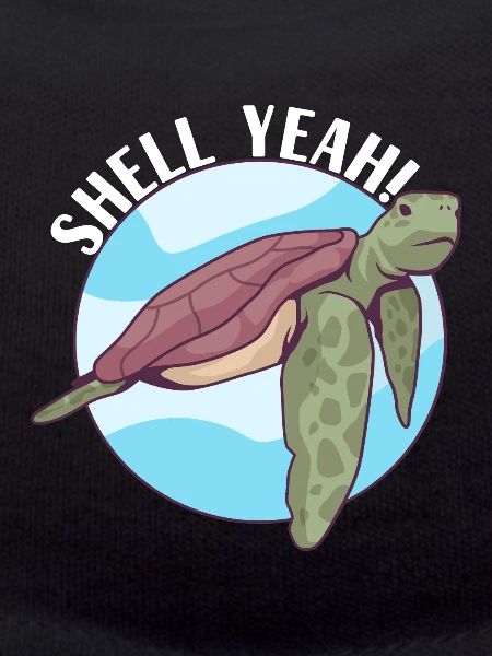 Turtle Turtle Aquatic turtle
