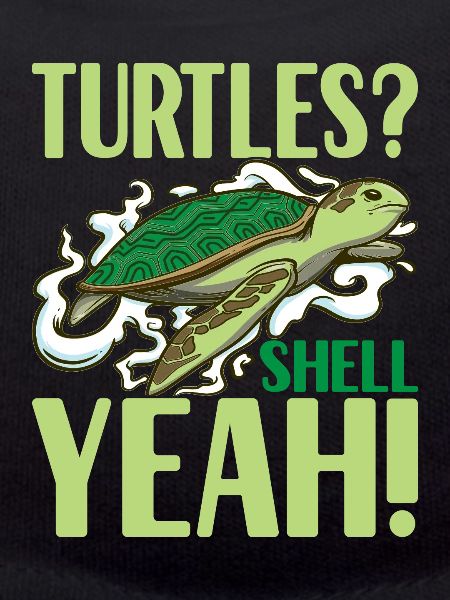 Turtle Turtle Aquatic turtle