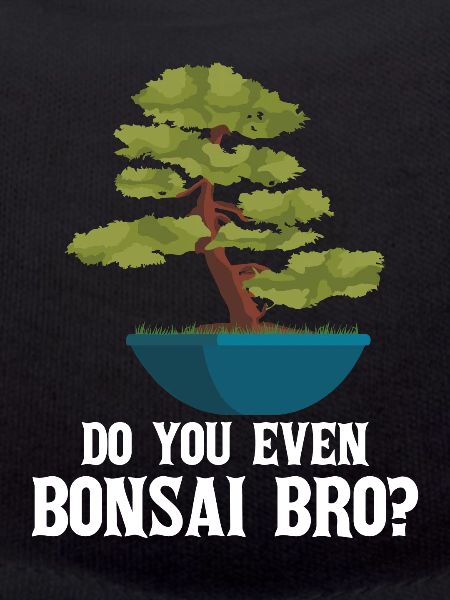 Bonsai Baum