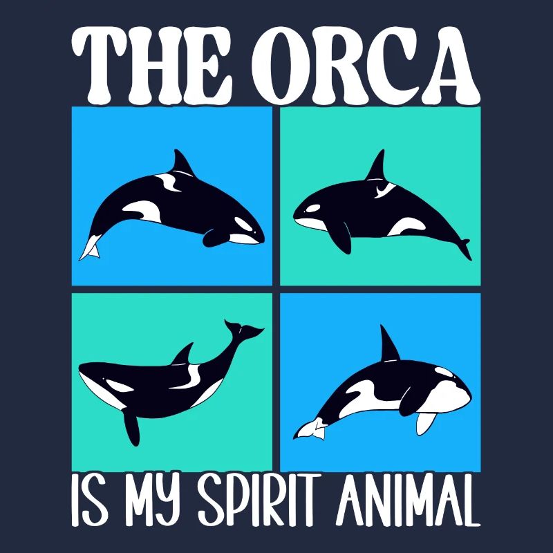 Wale Walbeobachter Orca