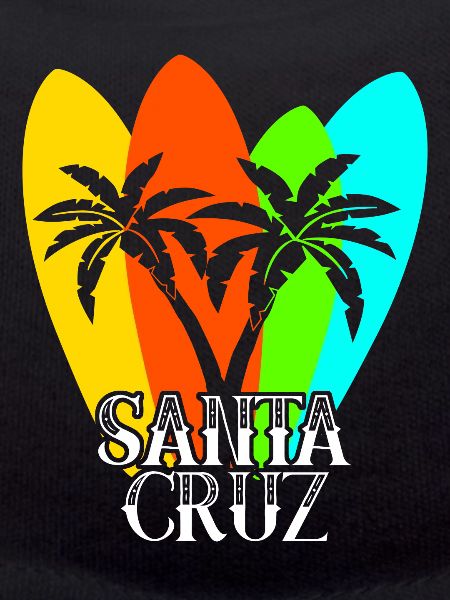 Surfboard Santa Cruz Surfer