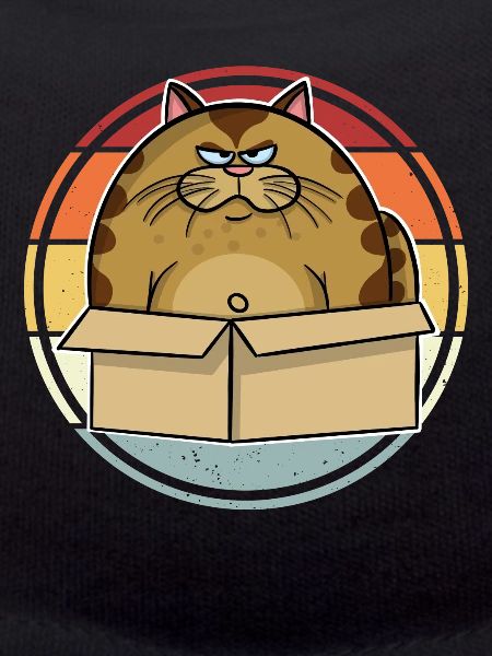 Dicke Katze Im Karton
