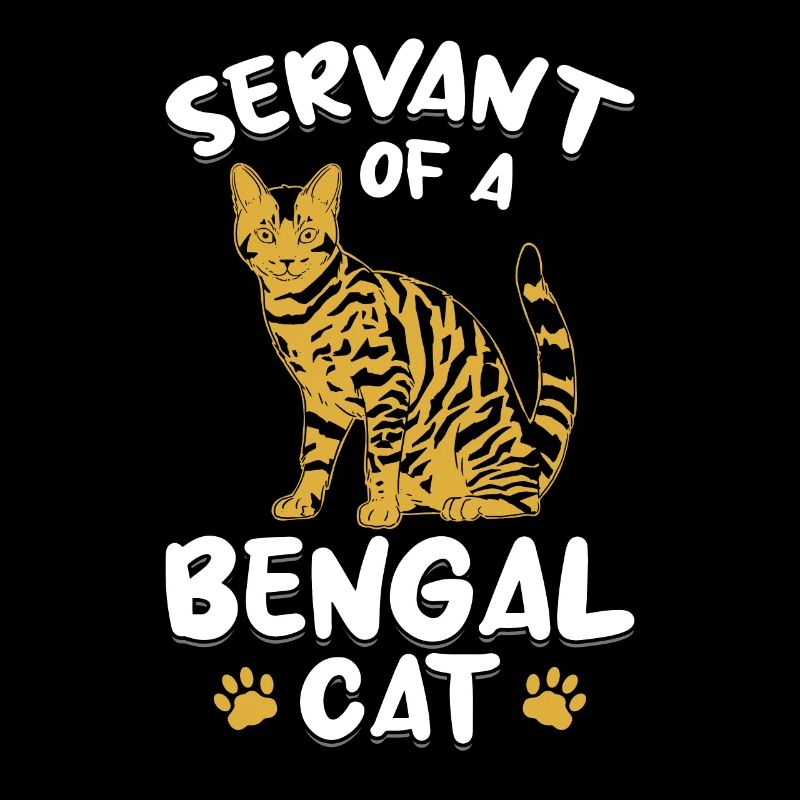 Serviteur Bengal Chat Velours Patte Hybride Race de chat