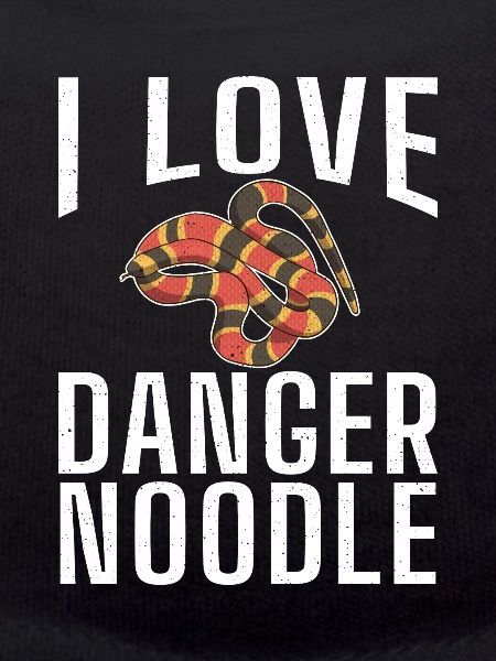 Snake Gift Snake Lover