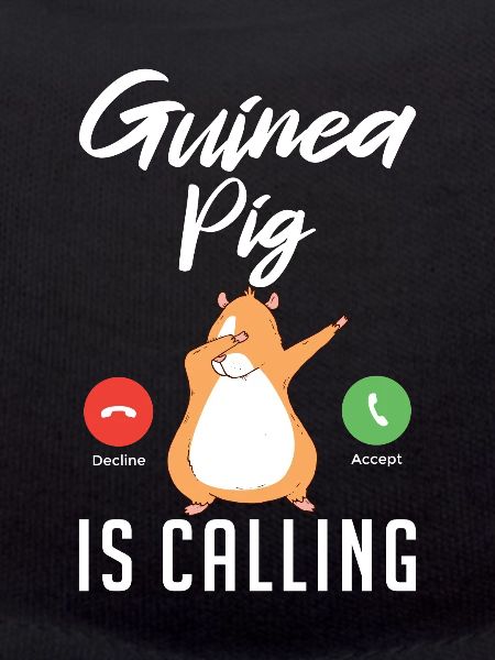 Cadeau mignon cochon d’Inde