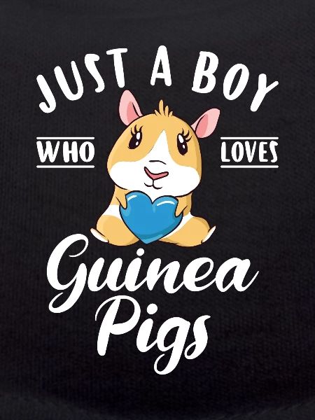 Cadeau de cochon d’Inde mignon