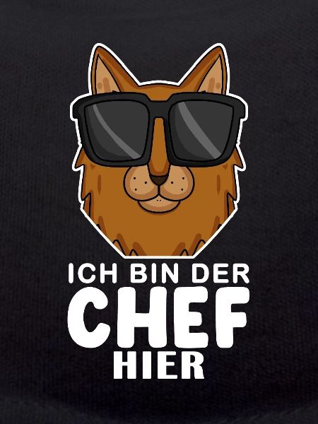 coole Katze - Somali Katze Spruch