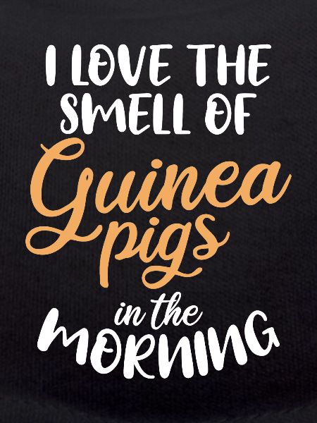 Cadeau de cochon d’Inde mignon