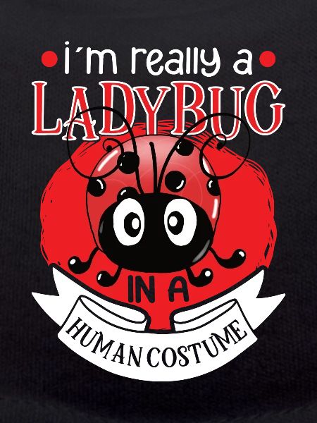 Ladybug Ladybug Entomology Insects