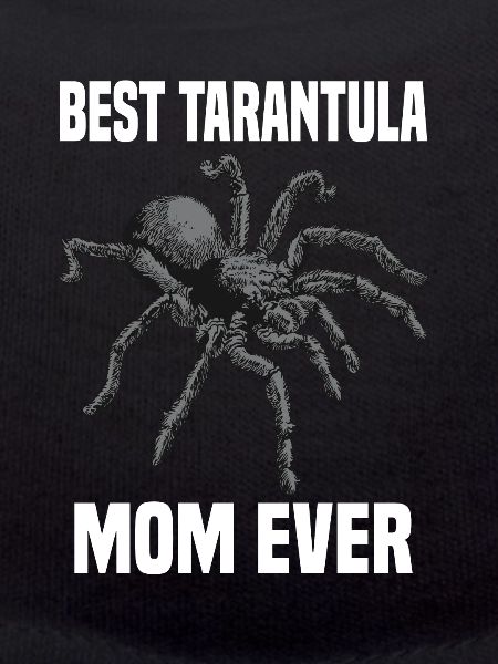 Tarantula Pet Arachnid