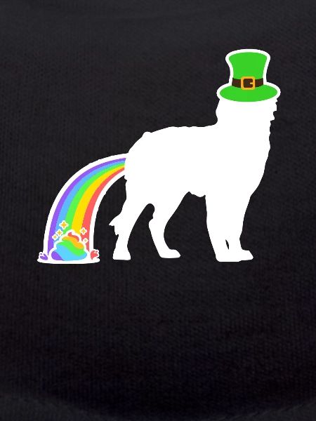 St. Patrick's Dog - Bernedoodle
