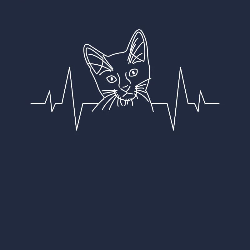 Cœur de chat de chat