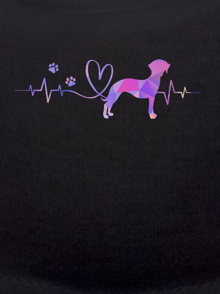 Whippet
