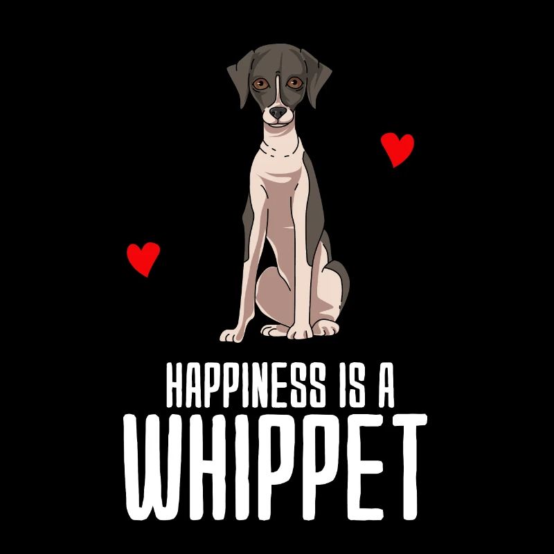 Whippet