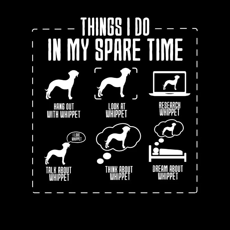 Whippet