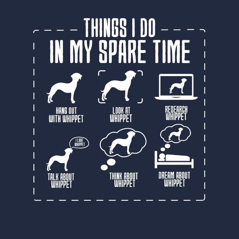 Whippet