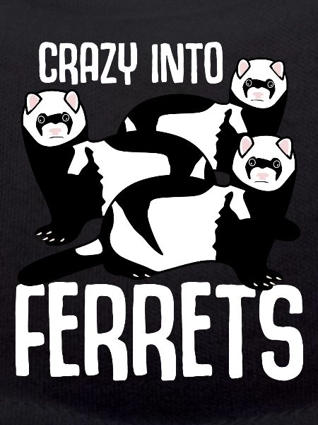Fou de furets