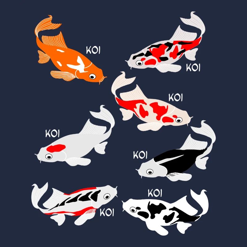 Koi Karpfen Kois