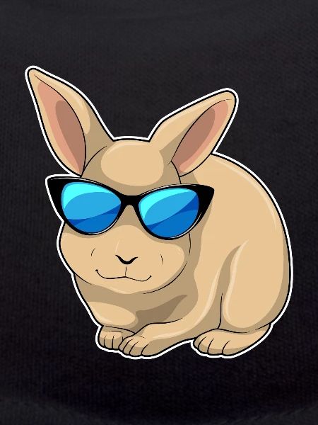 Lunettes de soleil Lapin