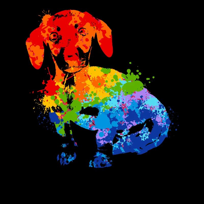 Farbspritzer Dackel Bunter Hund