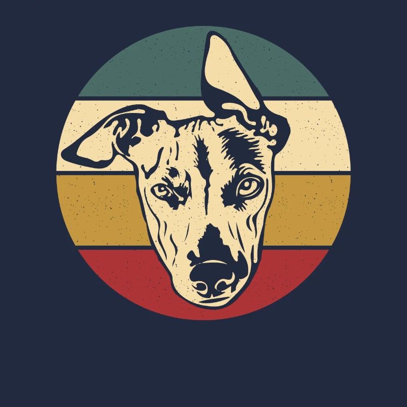 Whippet