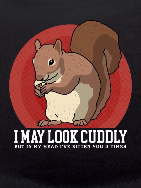 Mignon écureuil écureuil cadeau