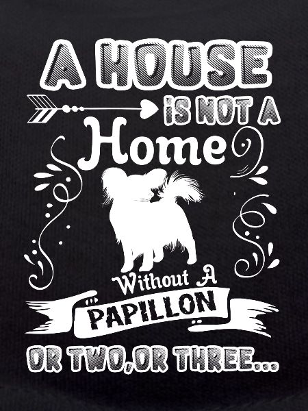 Papillon Home Without Papillon