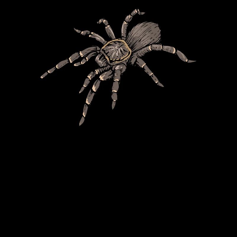 Tarentule I Tarantula Terrarium motif pour