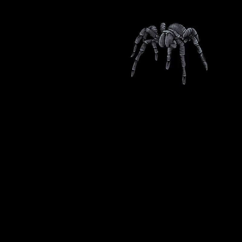Tarantula I Tarantula Terrarium motif for