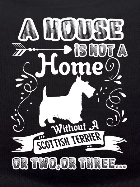Scottish Terrier Home Without