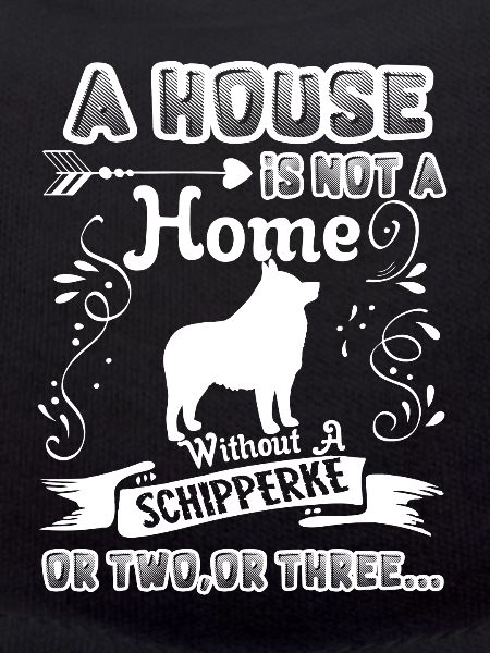 Schipperke Home Without Schipperke