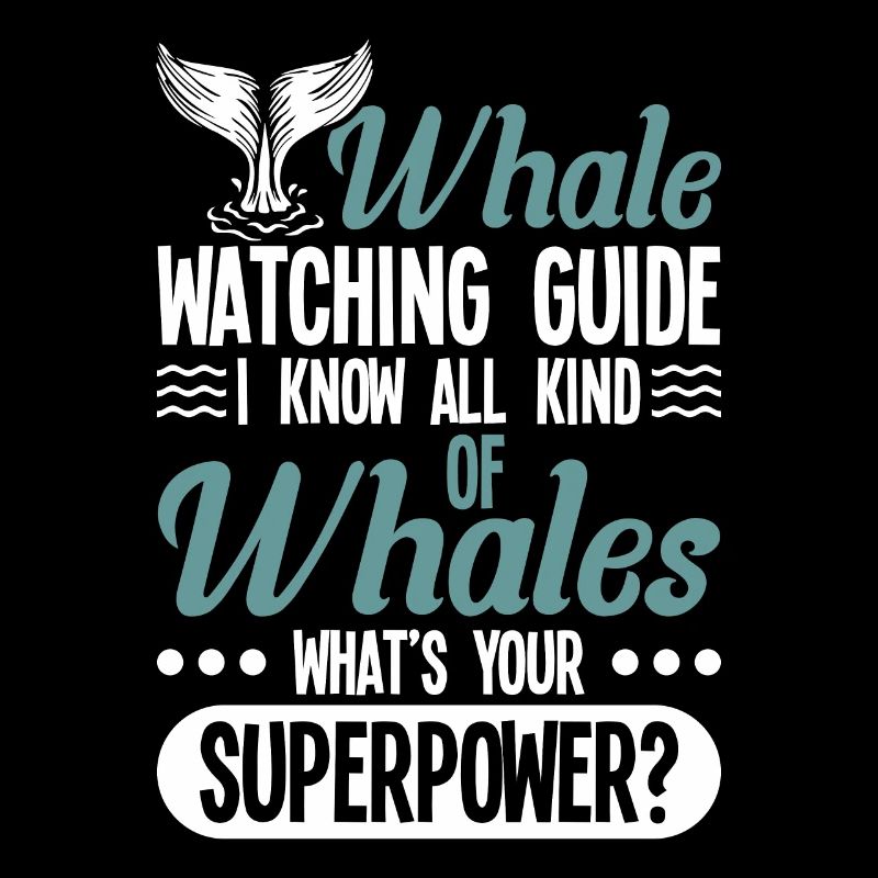 Observation des baleines Observation des baleines Orques Bleu Baleine
