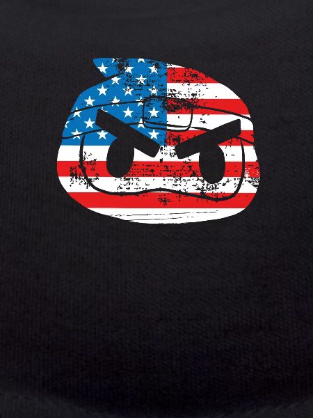 Usa ninja flag