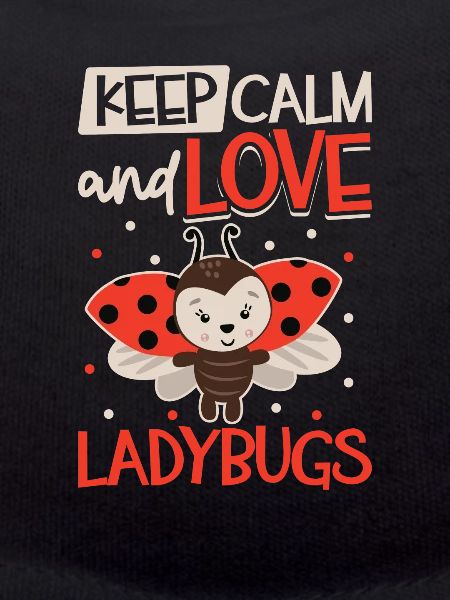 Ladybug Ladybug Entomology Insects