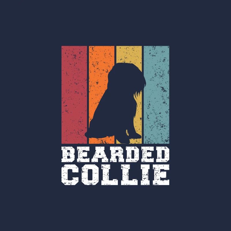 Bearded Collie
