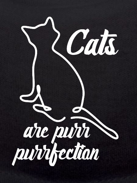 Blague de chat