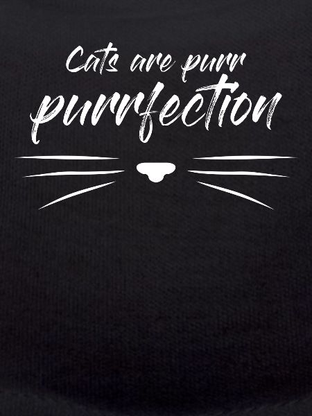 Chat Purrfect