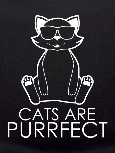 Funny Cat Joke