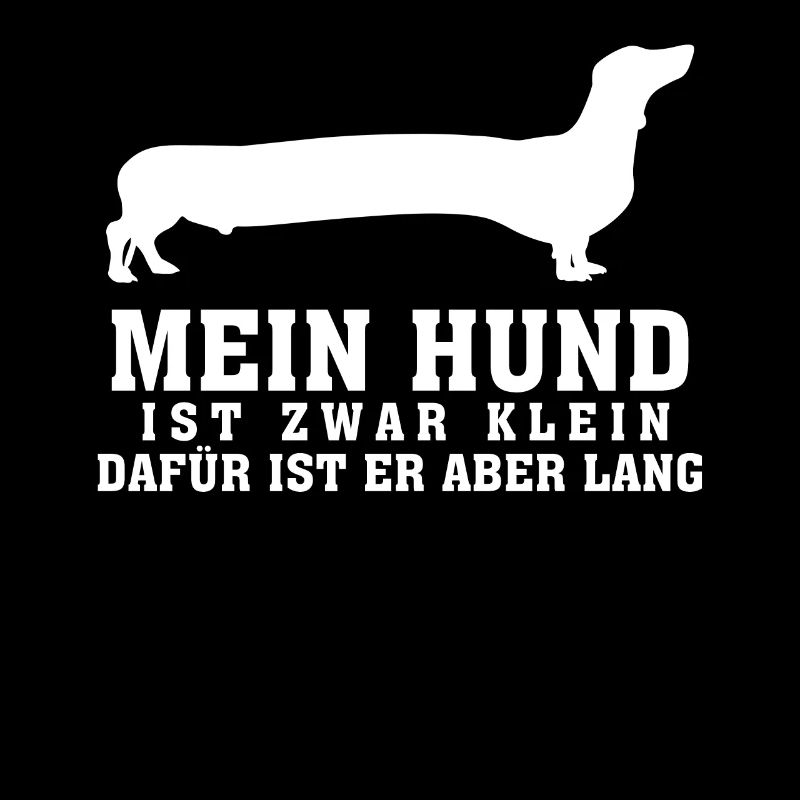 Dachshund Rauhaardackel