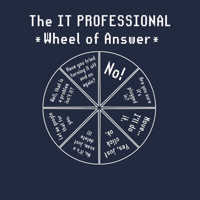 The IT Professional Computer Software Programmer