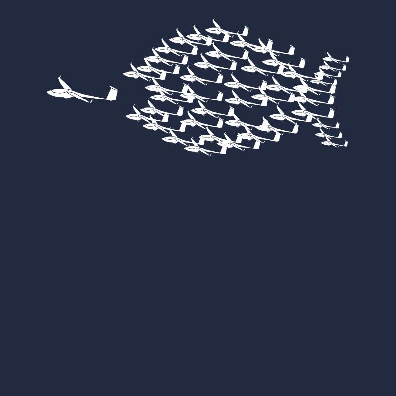 Planeur Poisson Planeur Pilote