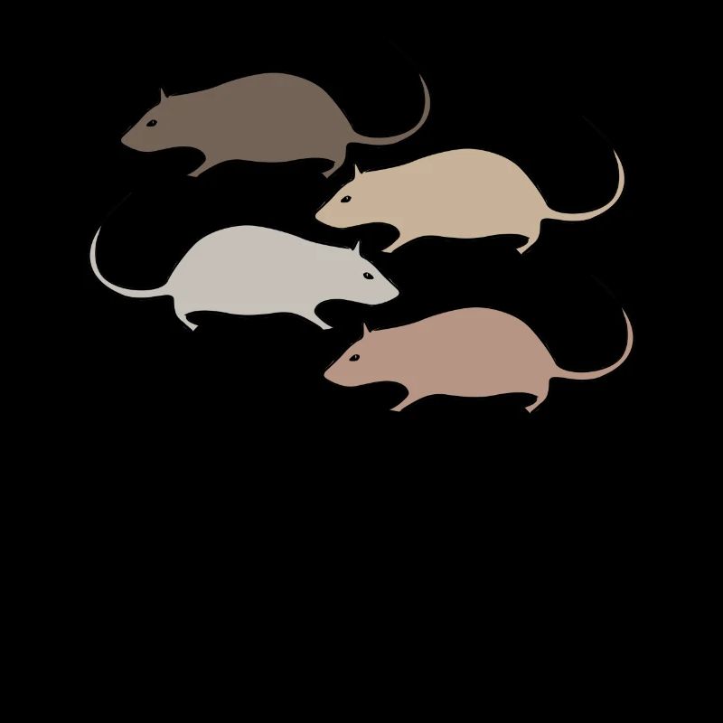Mouse Rat Rats Mice